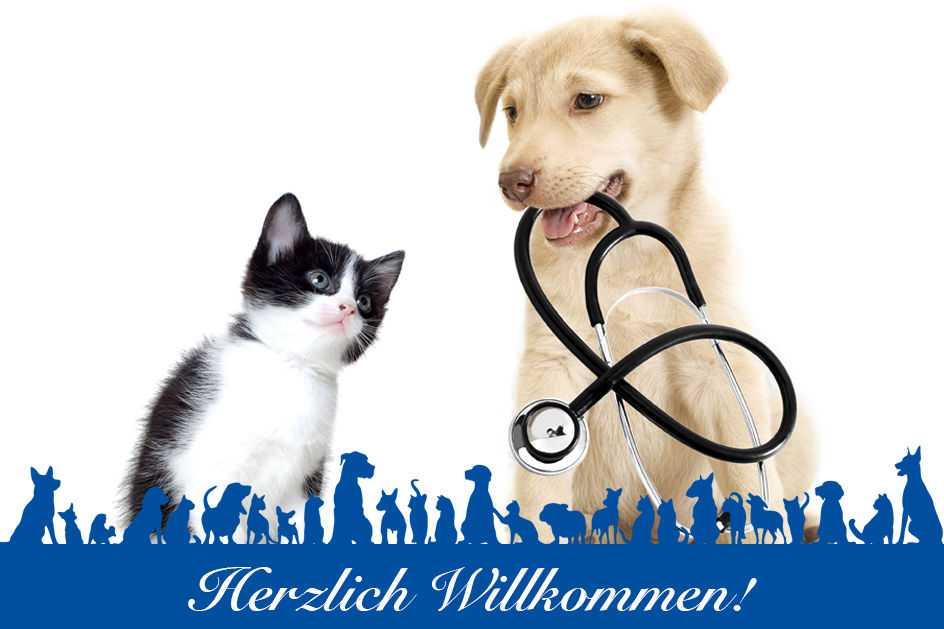 Herzlich Willkommen!